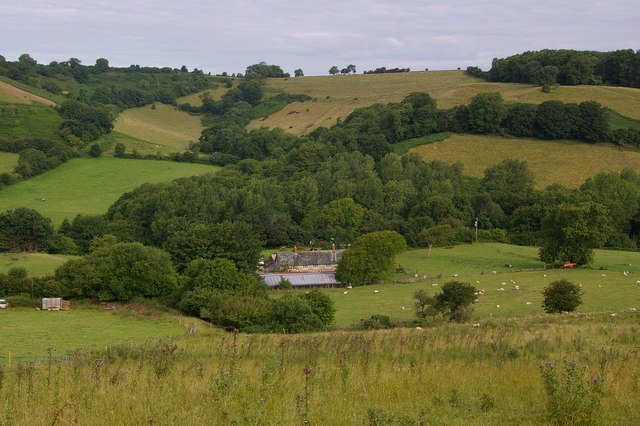 Rolling countryside near Mapperton in West Dorset